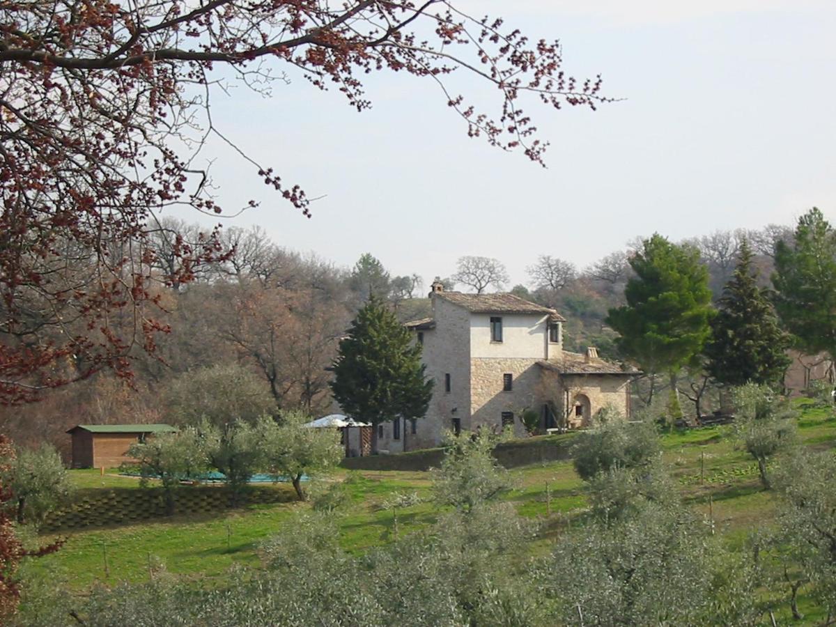 Girasole - Agriturismo Fogliani Giano dellʼUmbria Kültér fotó
